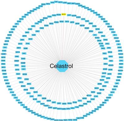 Integrated bioinformatics, network pharmacology, and artificial intelligence to predict the mechanism of celastrol against muscle atrophy caused by colorectal cancer